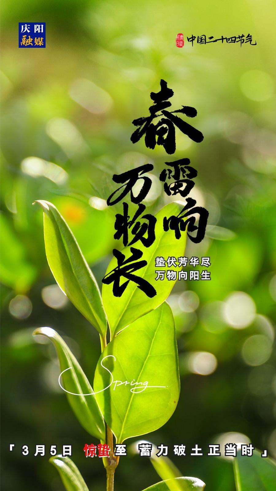 【微海报】二十四节气丨惊蛰至，蓄力破土正当时