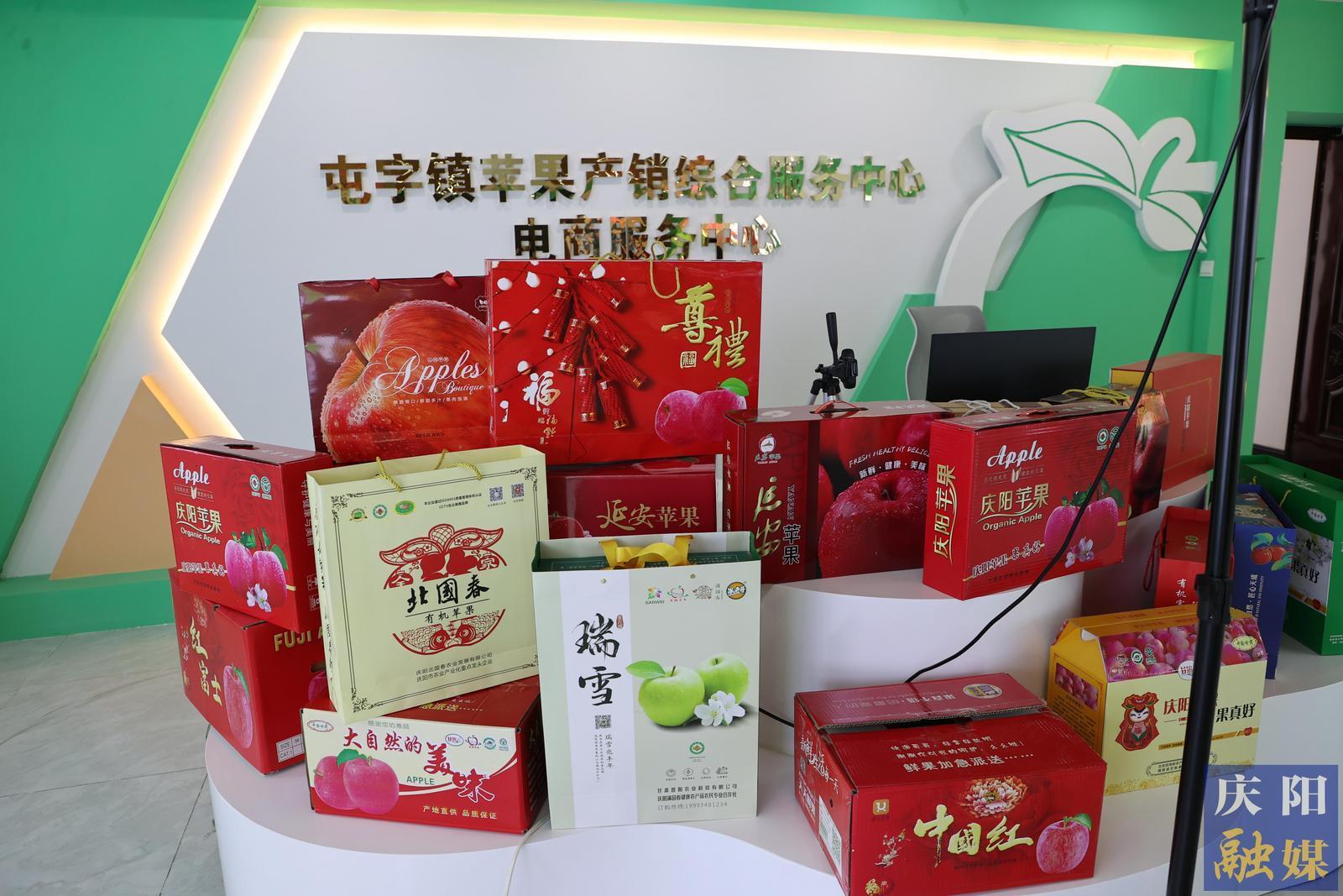 【摄影报道】镇原县甘旭果品专业合作社：苹果全链发展 引领乡村产业振兴
