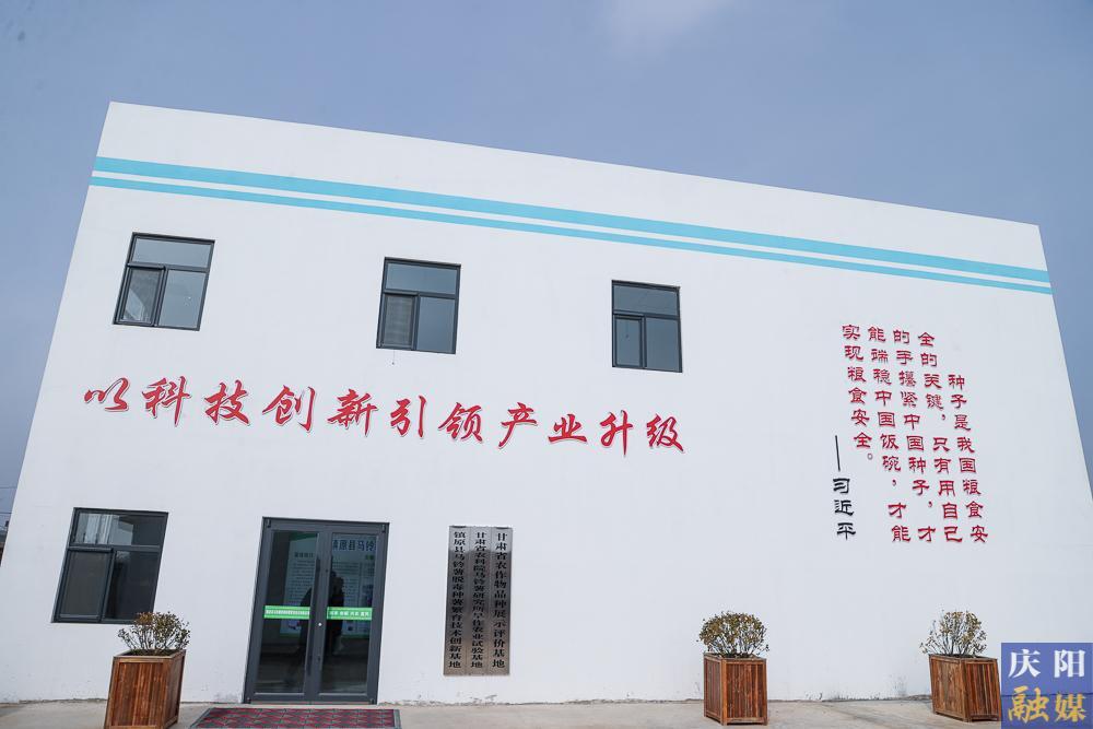 【摄影报道】马铃薯种薯繁育：赋能粮食优质高产 助力群众就业增收