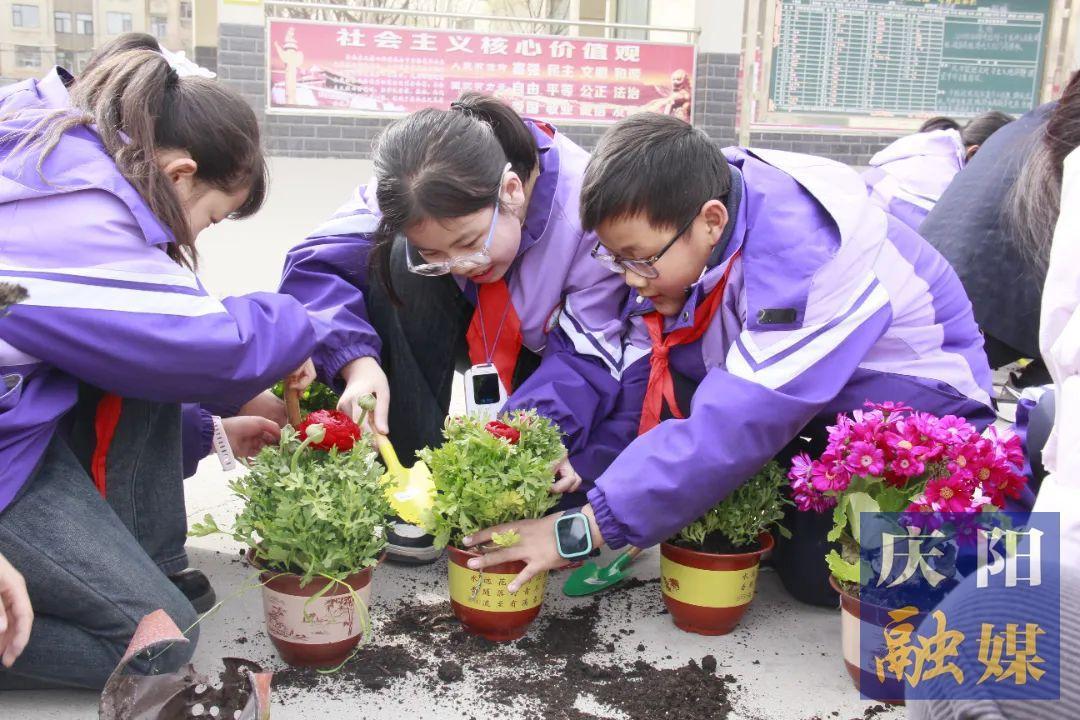 【点亮美好教育】“植”此青绿 共赴春天 西峰区新建小学开展植树节主题活动