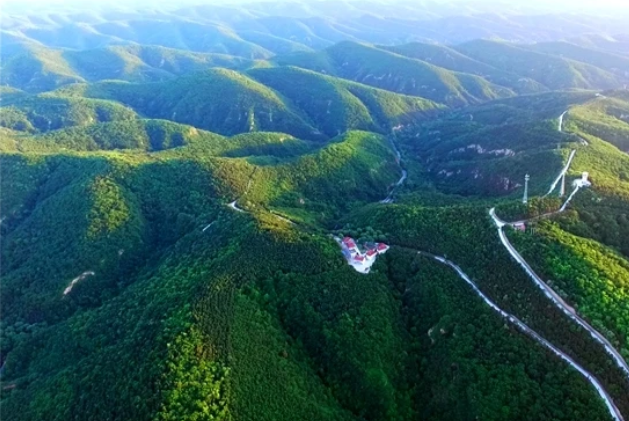 一点庆阳 | 大塬的风（文/张建昕）