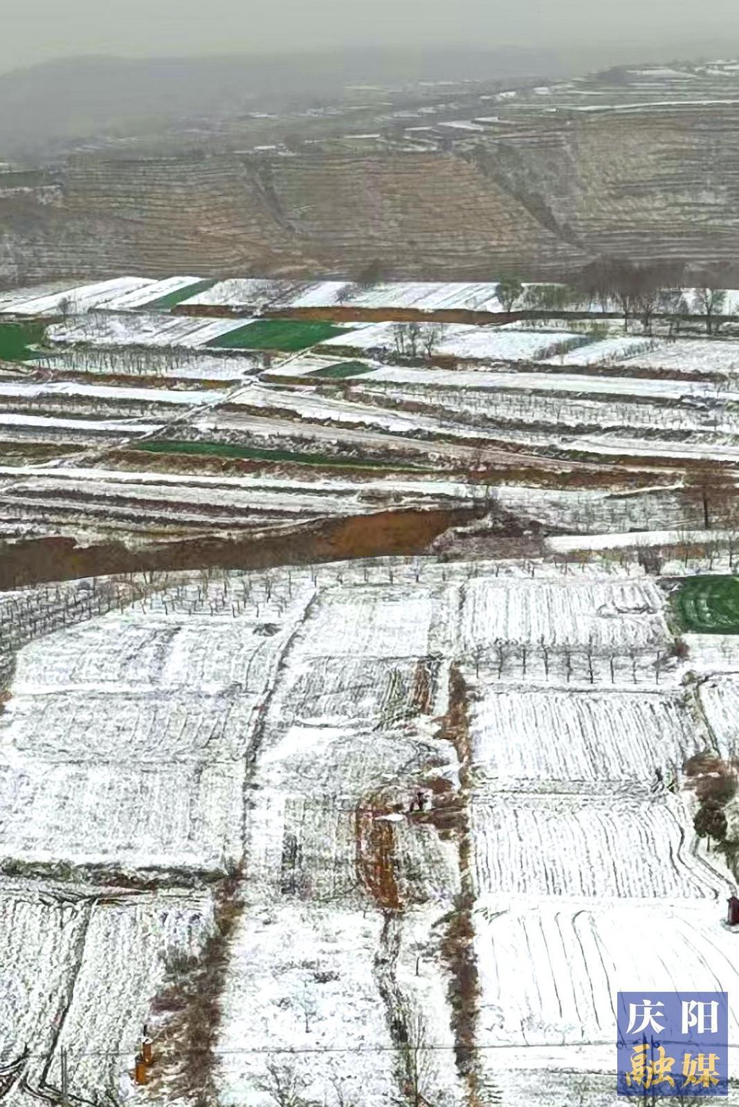【大美庆阳】春雪即景