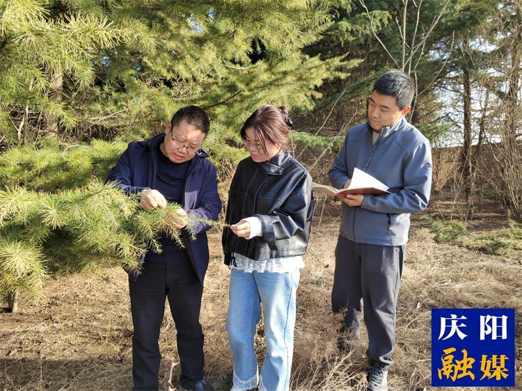 【报效祖国 建功西部】心怀生态梦  追“绿”写忠诚  ——记庆阳市林科所林草湿荒综合治理研究室主任徐建民