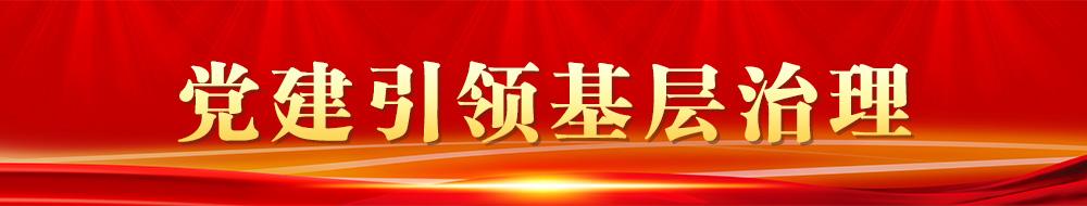 党建引领基层治理