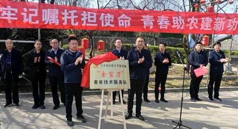 甘肃天水：“金剪刀”服务队助力花牛苹果提质增效