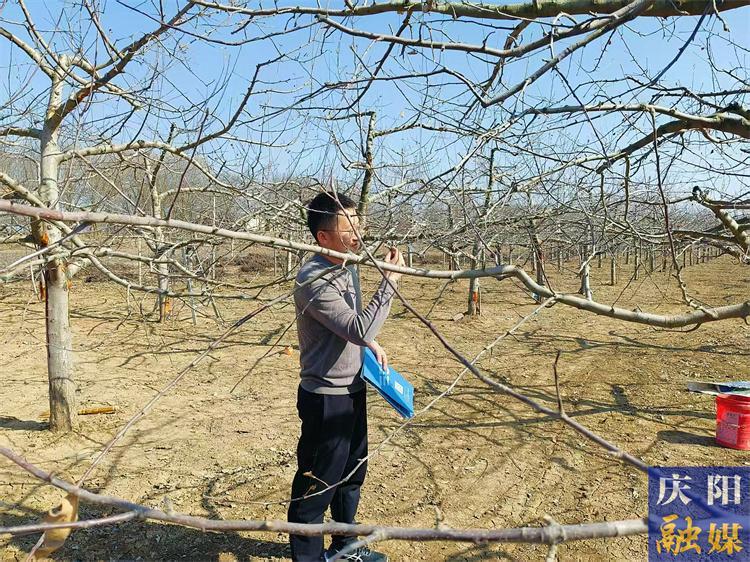 ​庆阳市抓实抓细  多举措推进春管工作