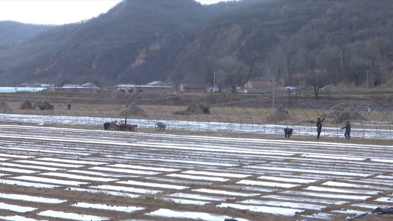 合水县及早部署春耕生产 今年全县春播粮食作物计划面积15万亩