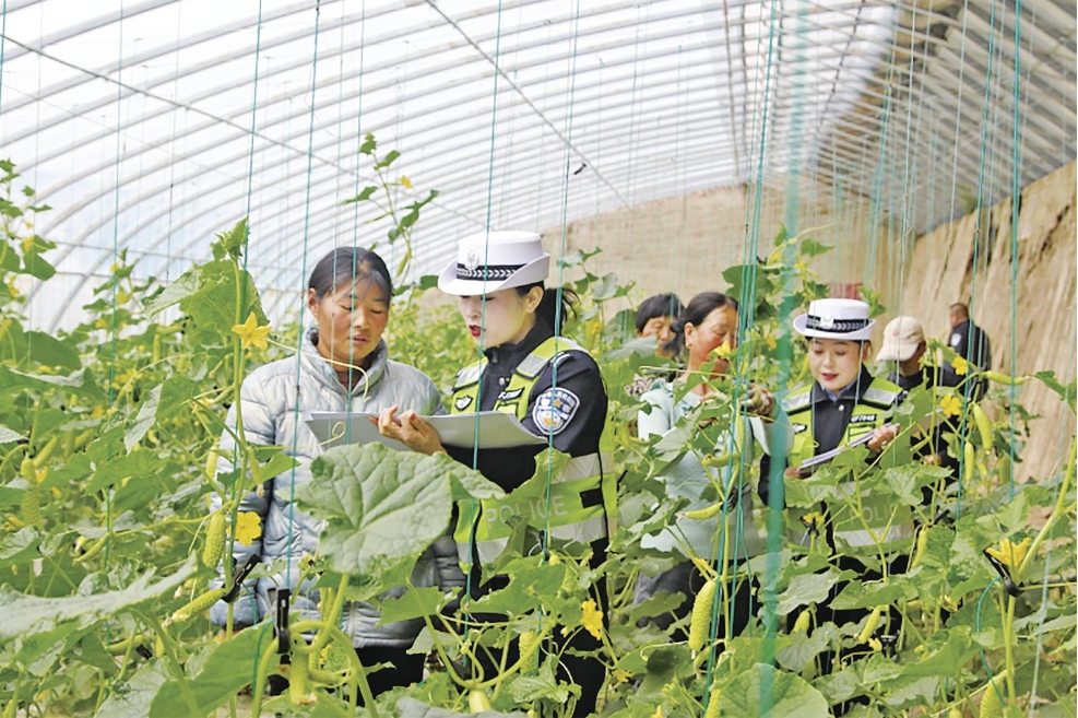 甘肃合水县公安局：“大棚警务”架起警民“连心桥”