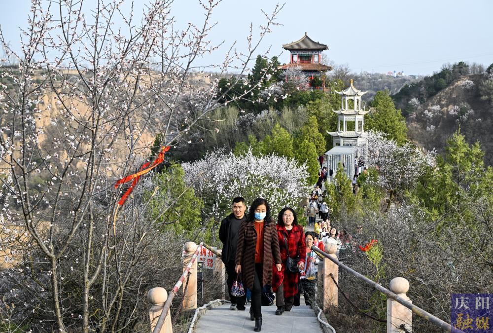 【摄影报道】春和景明 踏青赏春
