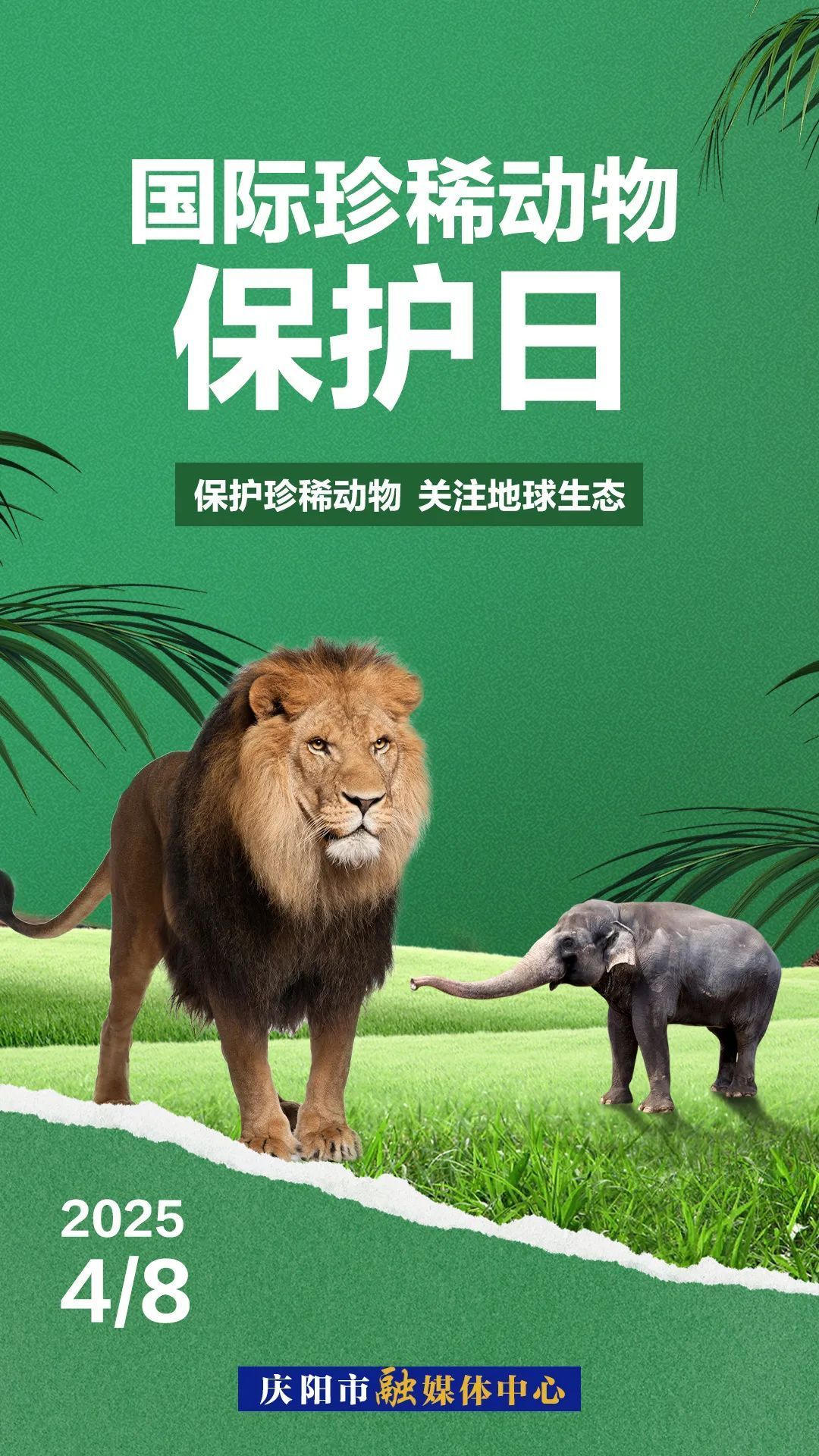 国际珍稀动物保护日丨因为“珍稀”所以“珍惜”
