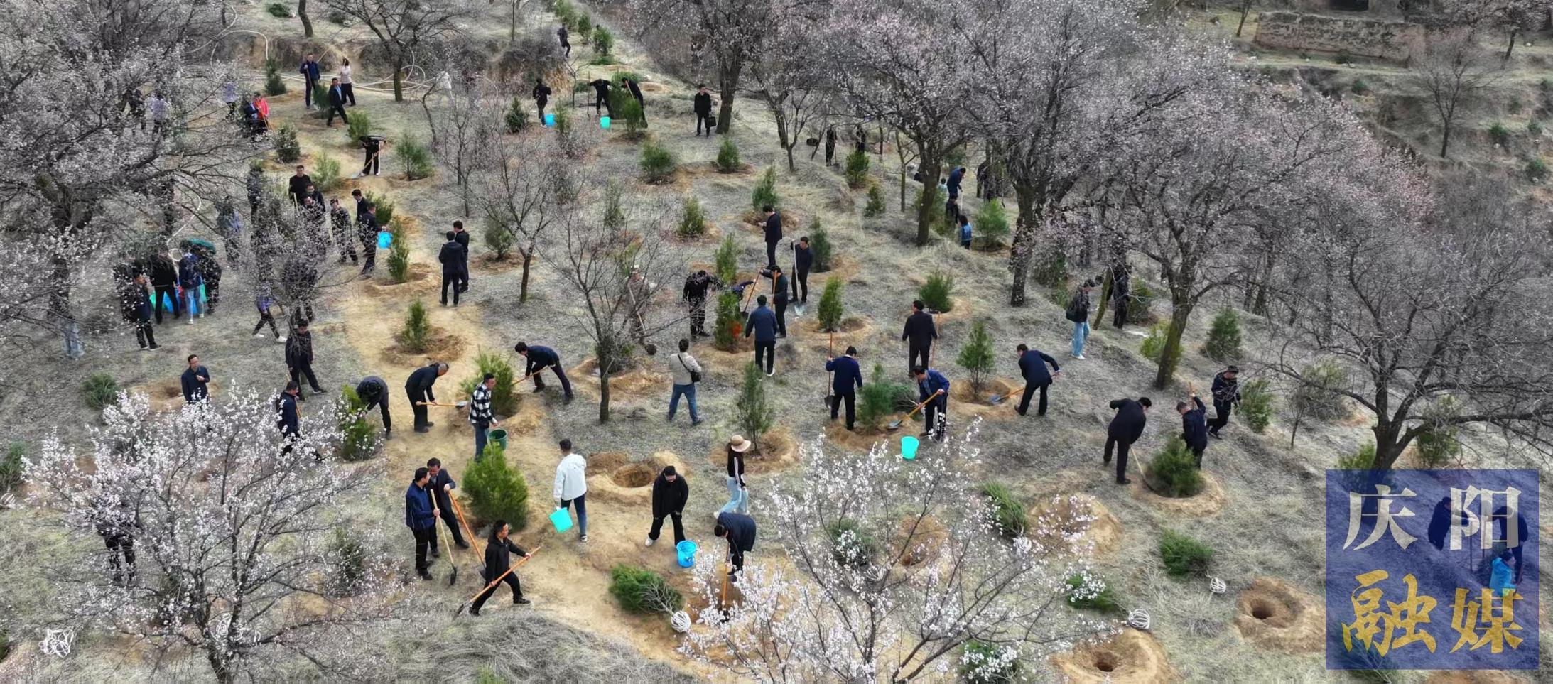 庆阳市市级机关义务植树活动在西峰区举行