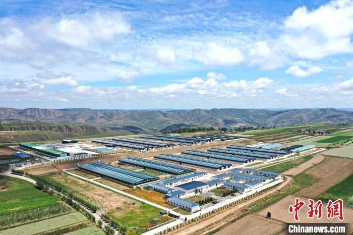 “中国羊谷”环县：养羊从靠运气到靠数据