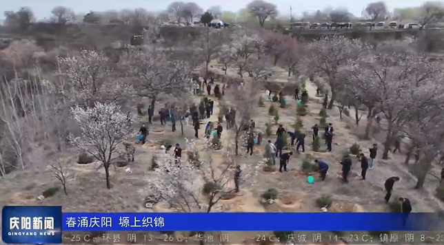 《庆阳新闻》2025年4月14日