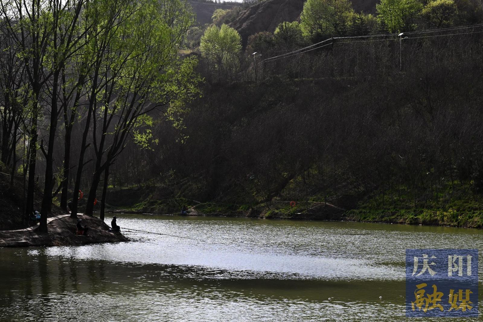 【春涌庆阳 塬上织锦】春意清水沟：在山水之间奔赴一场“春日之约”