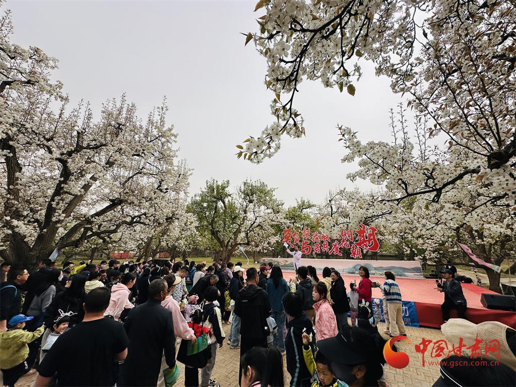 陇拍客丨兰州皋兰梨花绽放 邂逅“花”漾春天