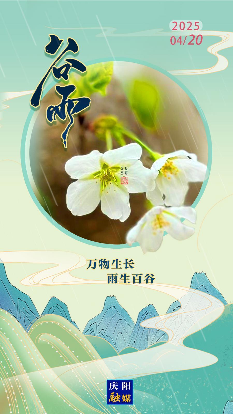 【微海报】二十四节气·谷雨 | 雨生百谷  万物生长