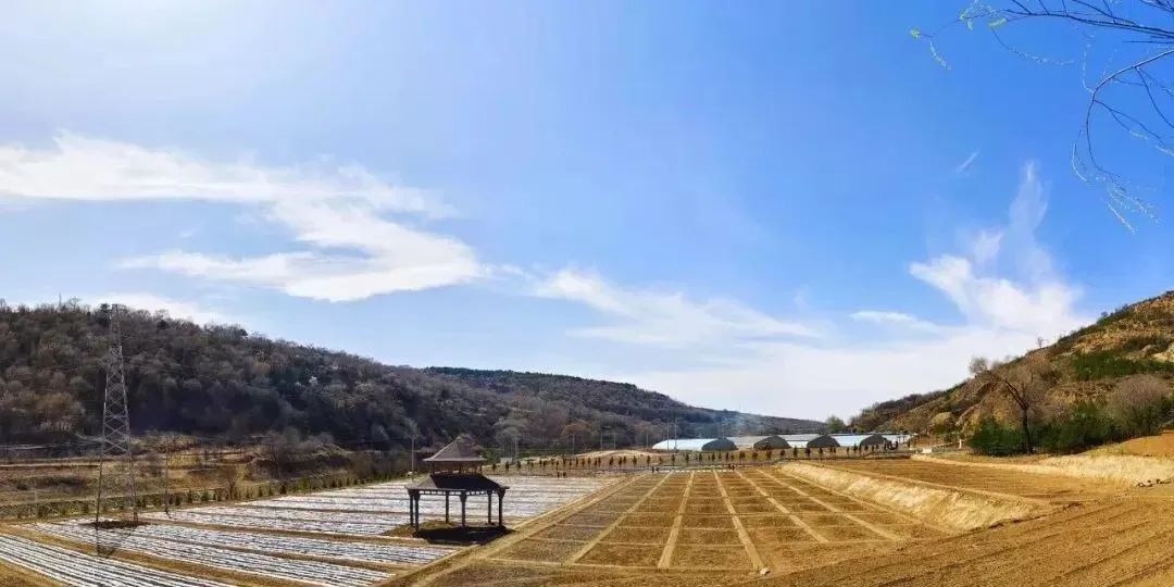 华池县南梁镇全力开展人居环境整治助力低空赛道油田挑战赛