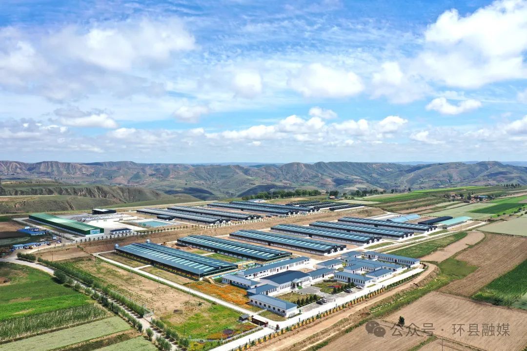 环县：科技赋能“中国羊谷” 羊业两端延链再升级