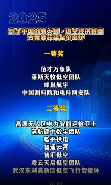 【V视】2025数字中国创新大赛·低空经济赛道方案赛获奖名单公布