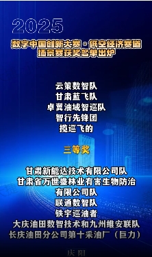 【V视】2025数字中国创新大赛·低空经济赛道场景赛获奖名单出炉