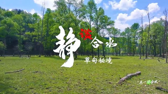 【五一游庆阳】静谧合水︱合水县太莪乡草甸秘境等你来打卡！