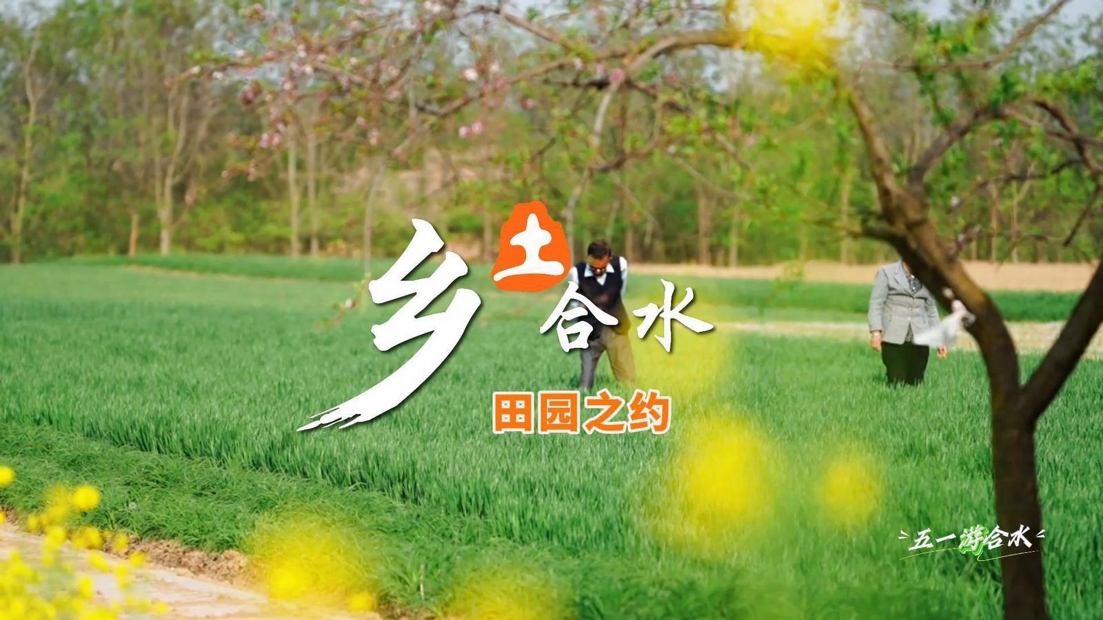 【五一游庆阳】乡土合水︱春天里，我们共赴一场田园之约