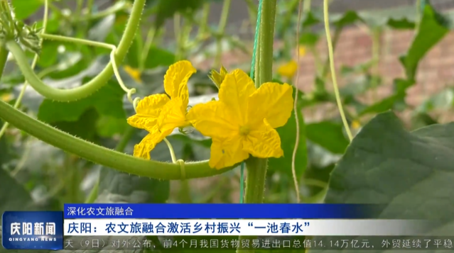 《庆阳新闻》2025年5月9日