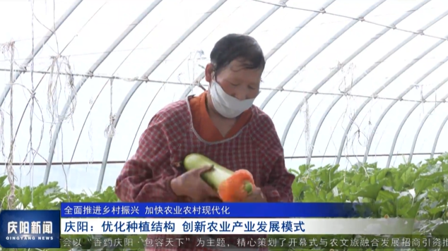 《庆阳新闻》2025年5月13日