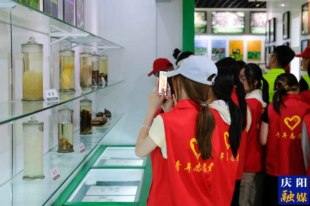 万物共生 和美永续丨庆阳市举办国际生物多样性日主题活动