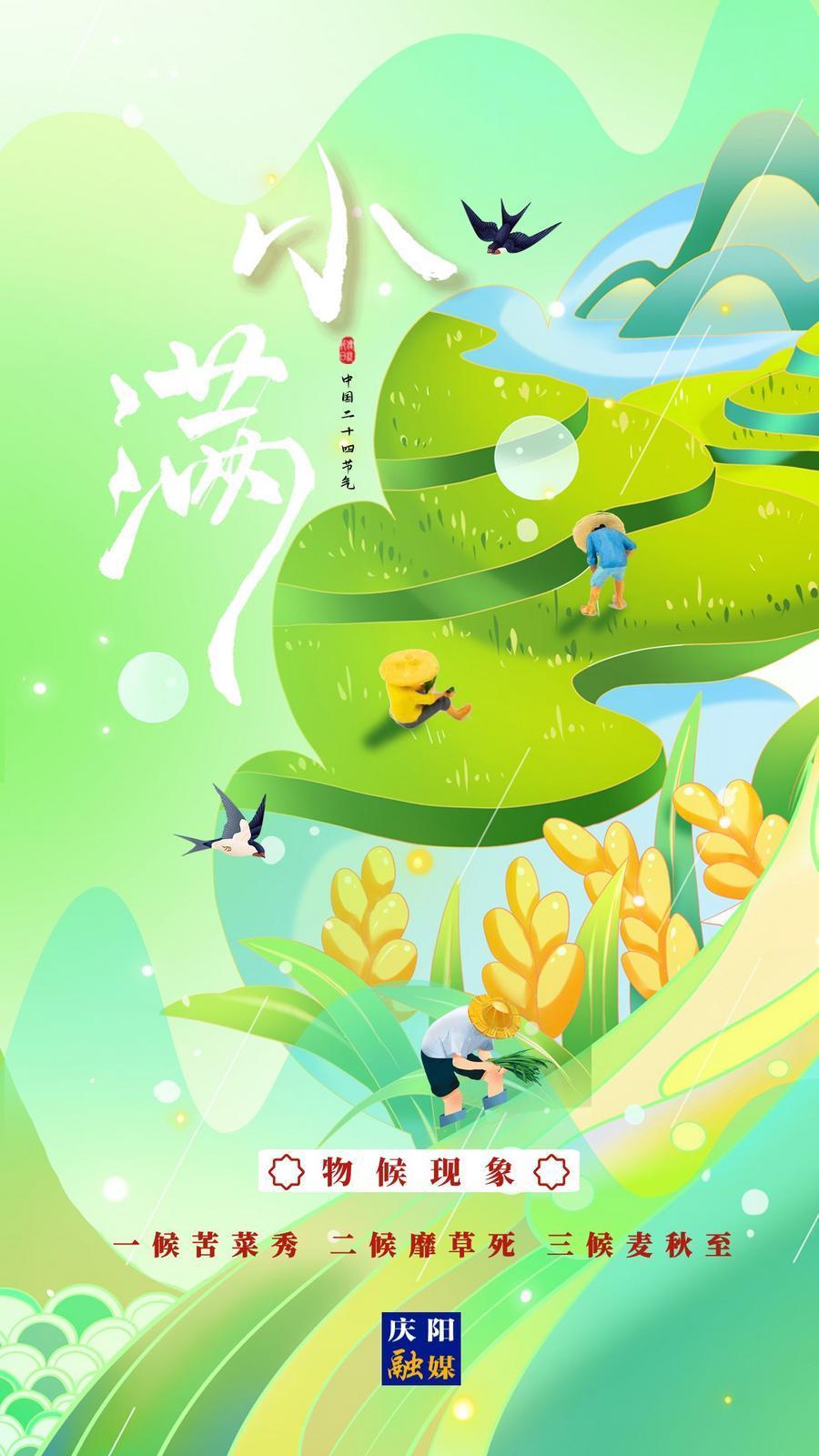 【二十四节气·小满】微海报丨小满初盈 静待成熟