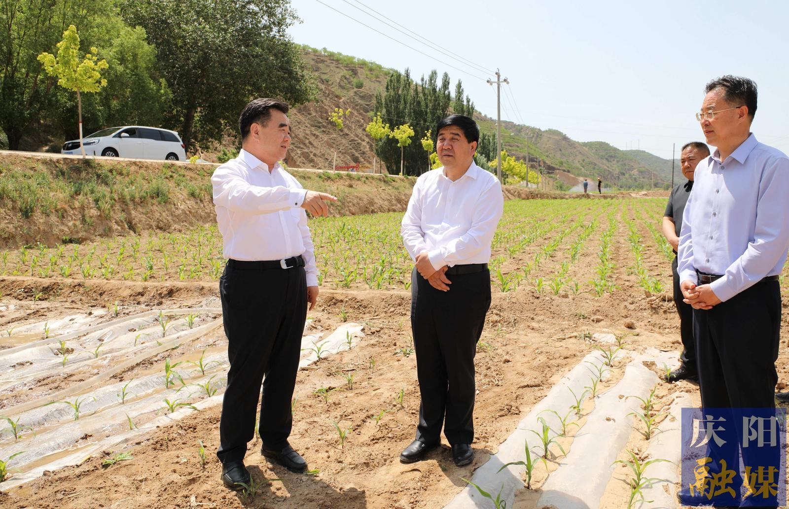 黄泽元在环县调研时强调 有效解决突出问题推动学习教育走深走实 用足用好各类水源最大限度减少旱情影响