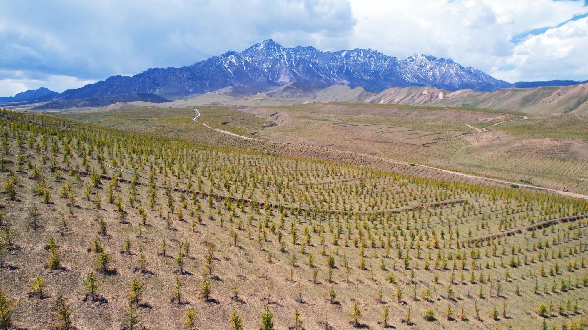 甘肃张掖民乐：厚植生态底色 绘就绿色发展新图景