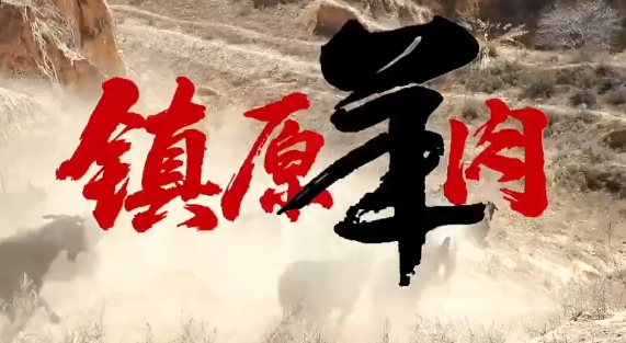 镇原羊肉