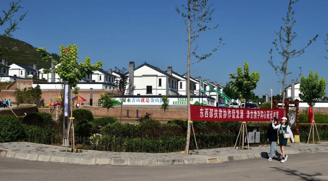 镇原：“一约四会”强治理 文明新风展新貌