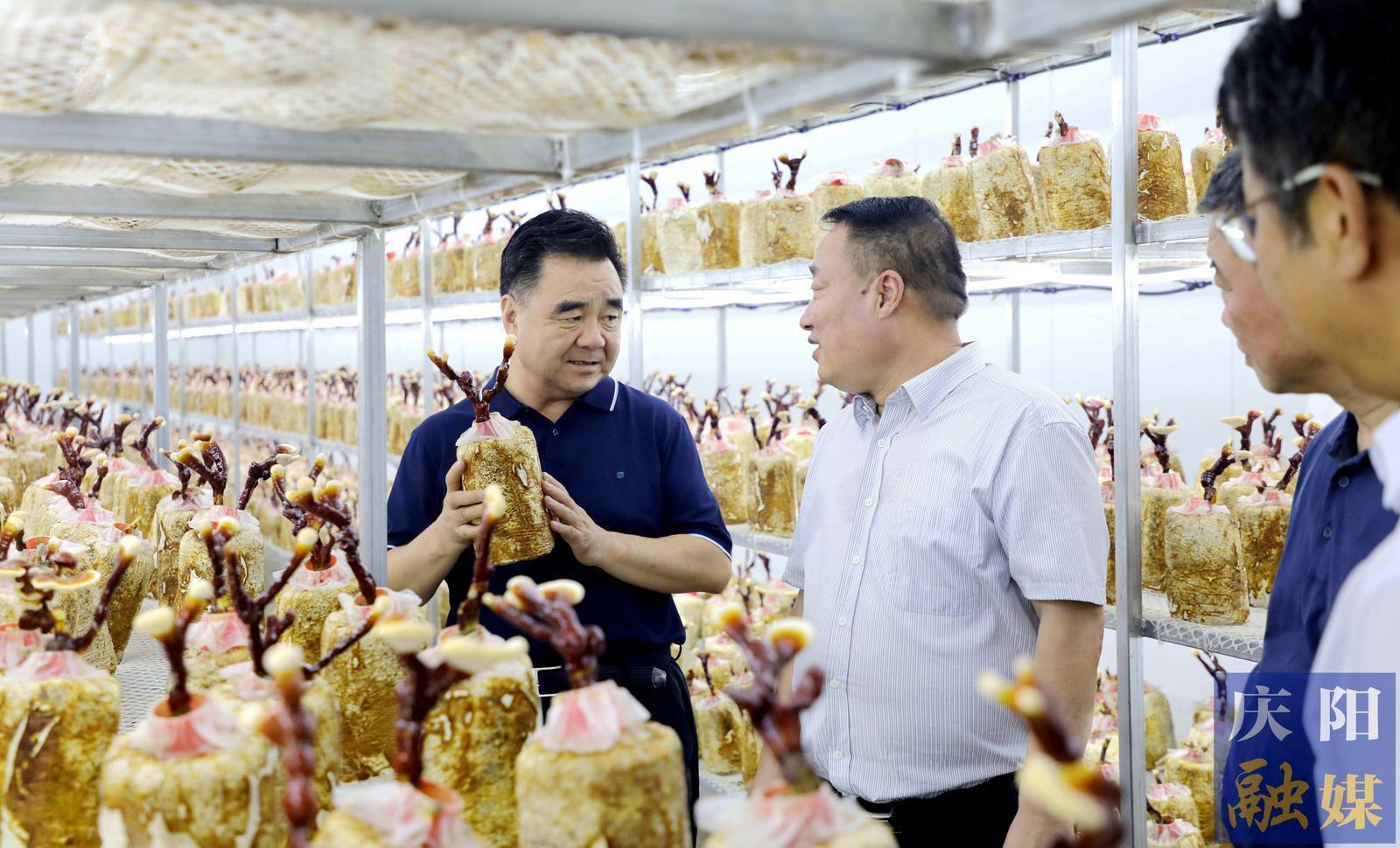 黄泽元在宁县调研时强调 聚焦特色优势推进农业产业转型升级 更好促进产业增值企业增效群众增收