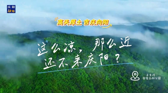 这么凉，那么近，还不来庆阳 ？——“天然氧吧”子午岭国家森林公园欢迎您来！