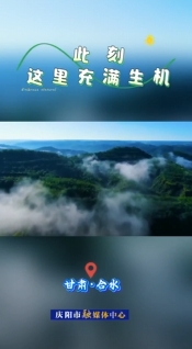 【全国生态日】合水：青绿是底色 更是可持续发展的生产力